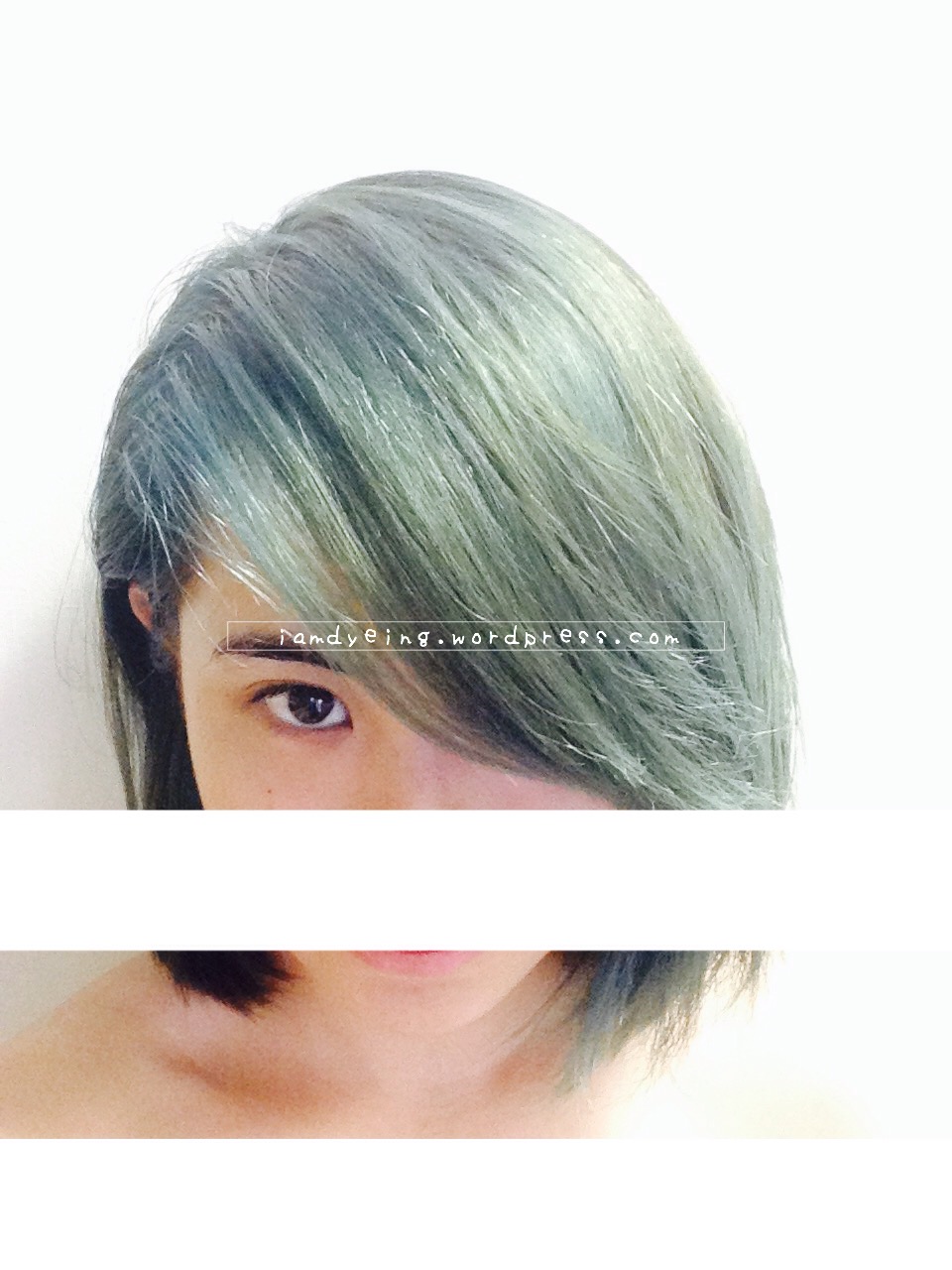 Hortaleza Hair Color Chart Philippines