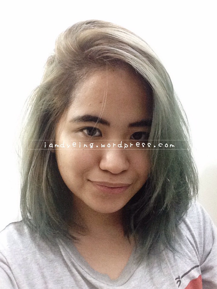 1.5 – 2 weeks after application, toned roots, hair color back to washed up teal.